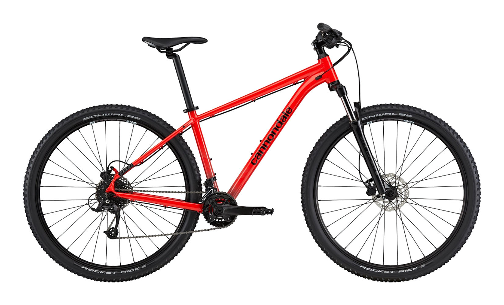 Trail 7 29