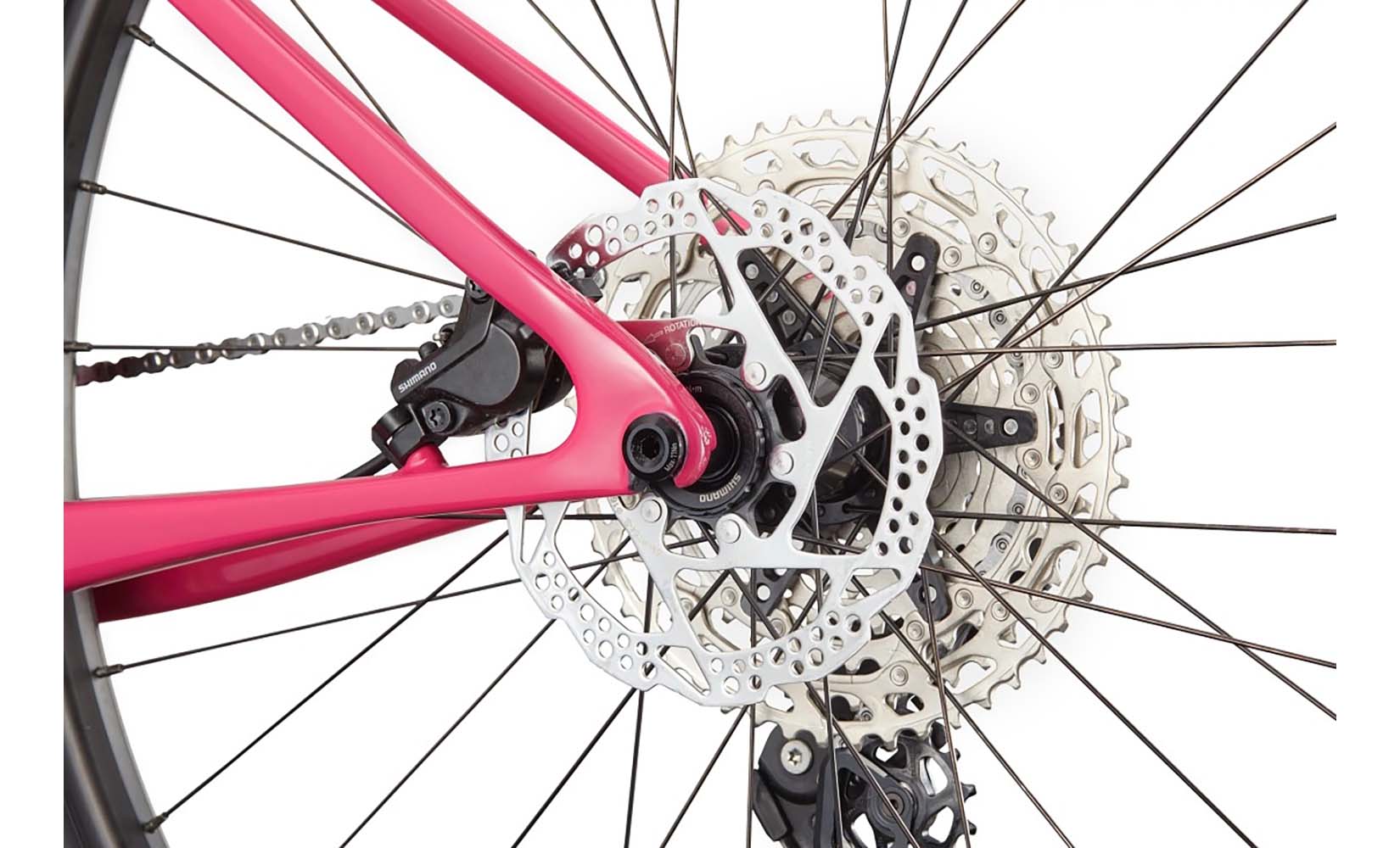 Scalpel HT Carbon 4 29