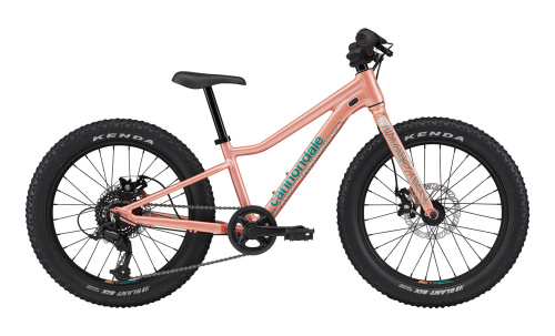 Велосипед Cannondale Kids Trail Plus 20 2025